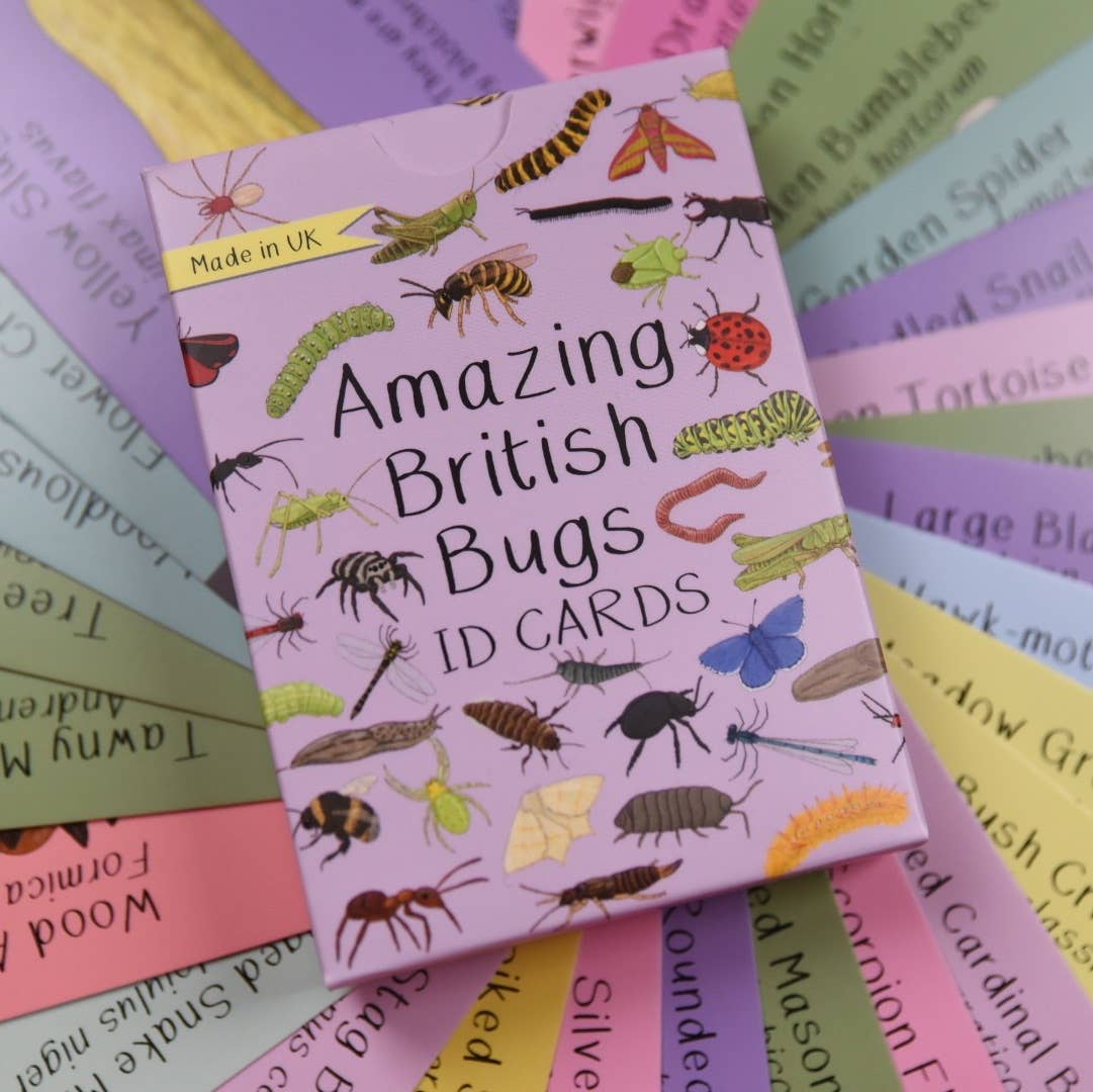 Button & Squirt - Amazing British Bugs ID Cards