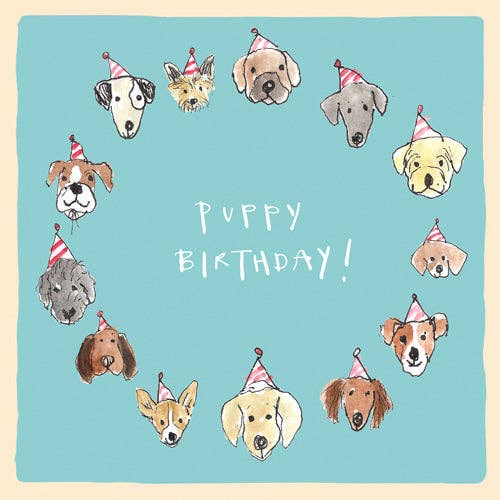 Poet and Painter - ‘Puppy Birthday’ Birthday Card,Studio , FP976