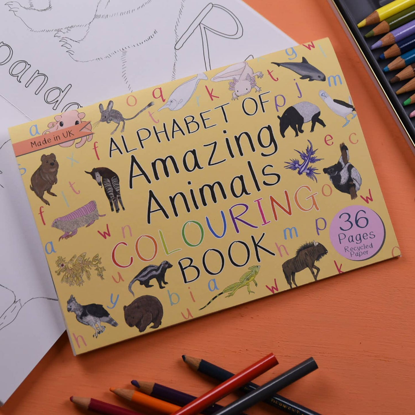 Button & Squirt - Alphabet of Amazing Animals Colouring Book