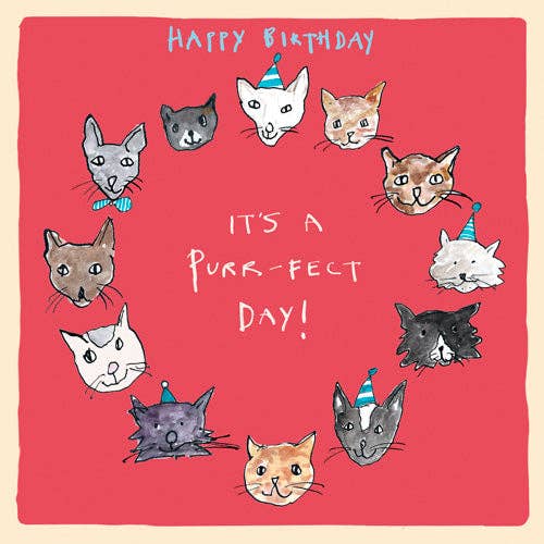 Poet and Painter - ‘Purr-fect Day’ Birthday Card, Studio , FP977