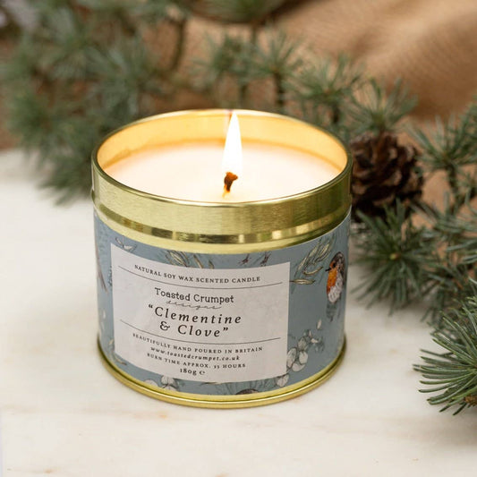 Toasted Crumpet - Clemetine & Clove (Robin & Eucalyptus Blue) Candle in a Matt