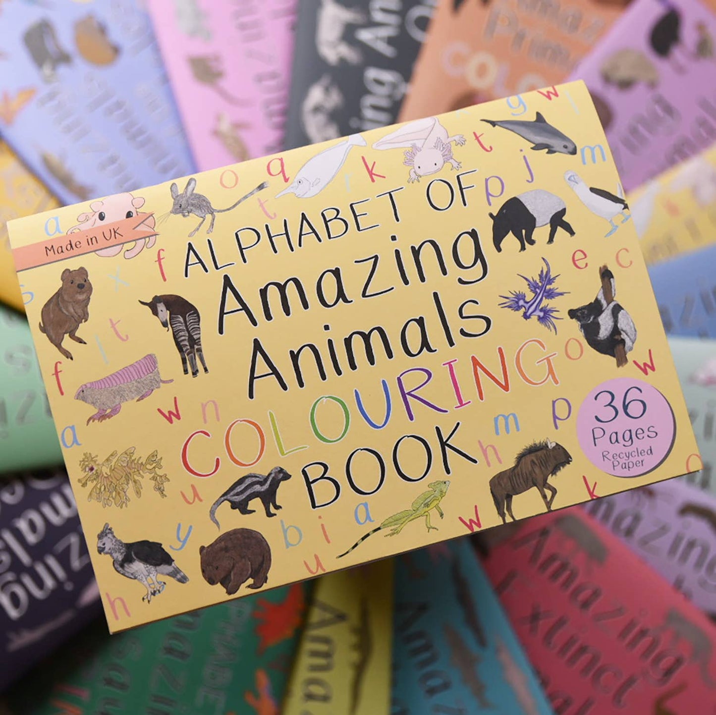 Button & Squirt - Alphabet of Amazing Animals Colouring Book