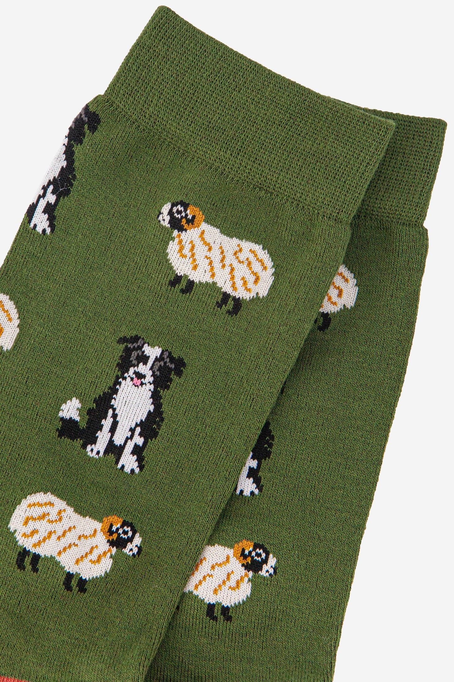 Sock Talk - Men's Border Collie Sheepdog Trials Bamboo Socks