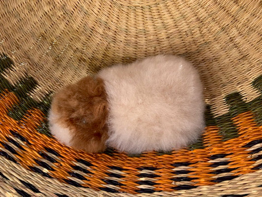 7" Alpaca Hamster - Hammy 2