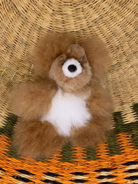 7" Alpaca Pocket Bears - Diddy 4