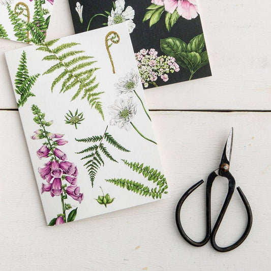 Catherine Lewis Design - Foxglove & Ferns