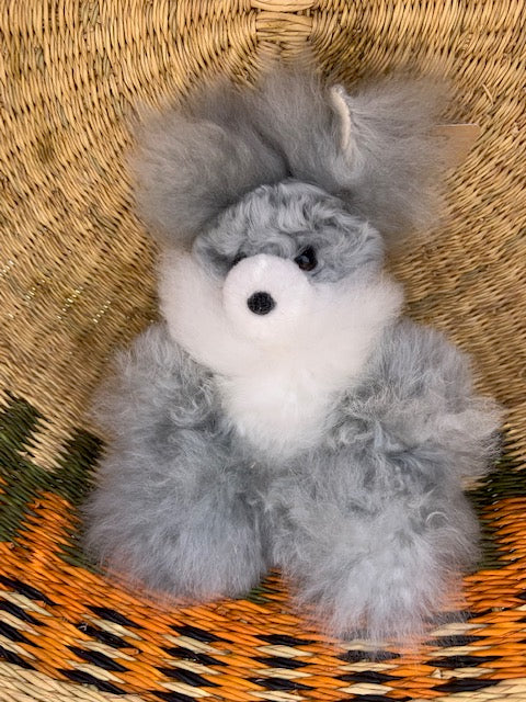 9" Alpaca Bunnies - Katie