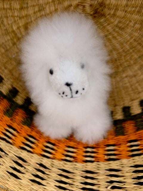 7" Alpaca Lion - Dave