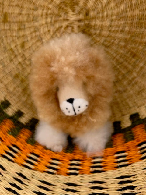 7" Alpaca Lion - Bonny