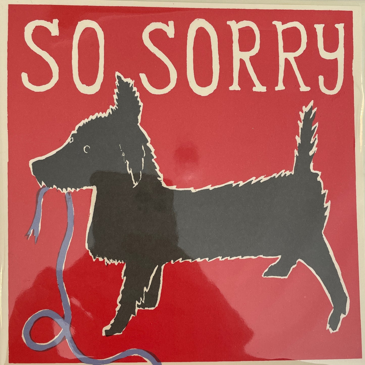 Cambridge Imprint - Large Square Card So Sorry Dog