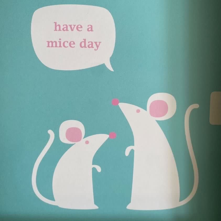 Have a Mice Day Card